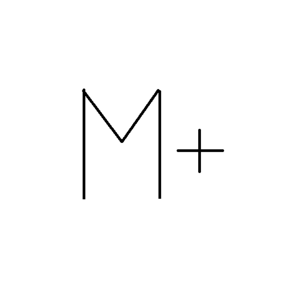 Мастер+